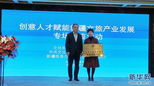 千帆競發(fā) 創(chuàng)意人才賦能新疆文旅產(chǎn)業(yè)發(fā)展專場交流活動在烏魯木齊舉辦